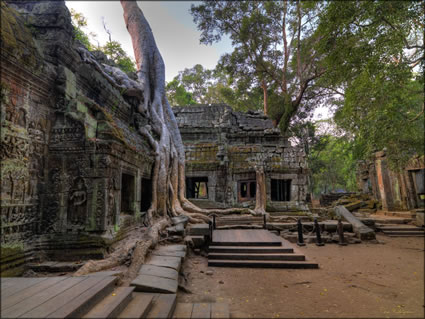 Ta Phrom Temple  (PBH3 00 6442)