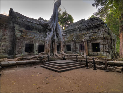 Ta Phrom Temple  (PBH3 00 6445)