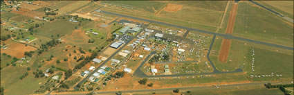 Temora - NSW - Natfly 2010 H (PBH3 00 16805)