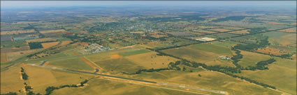 Temora - NSW - Natfly 2010 (PBH3 00 16798)