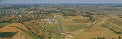 Temora - NSW - Natfly 2010 (PBH3 00 16803)