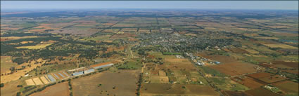 Temora - NSW (PBH3 00 16867)