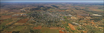 Temora - NSW (PBH3 00 16871)