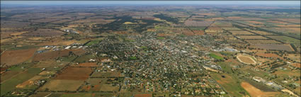 Temora - NSW (PBH3 00 16872)