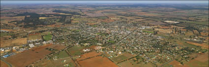 Temora - NSW (PBH3 00 16876)