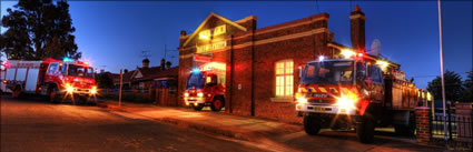 Temora Fire Brigade - NSW (PBH3 00 16981)