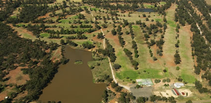 Temora Golf Club - NSW (PBH3 00 16880)