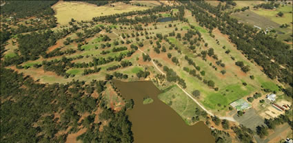 Temora Golf Club - NSW (PBH3 00  16881)