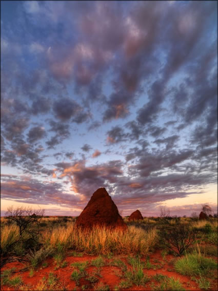 Termite Mound - Onslow - WA SQ (PBH3 00 8702)