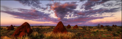 Termite Mounds - Onslow - WA H (PBH3 00 8705)