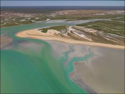 Thangoo - Roebuck Bay - WA (PBH3 00 10524)