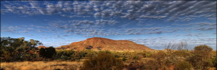 The Governor - Near Newman - WA (PBH3 00 9799)