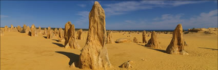 The Pinnacles - WA H (PBH3 00 2581)