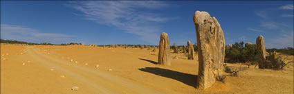 The Pinnacles - WA H (PBH3 00 2593)