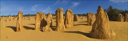 The Pinnacles - WA (PBH3 00 2546)