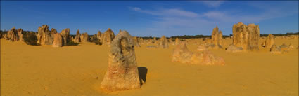 The Pinnacles - WA (PBH3 00 2547)