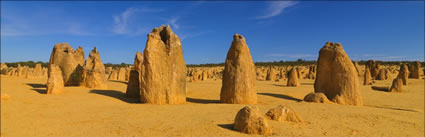 The Pinnacles - WA (PBH3 00 2548)