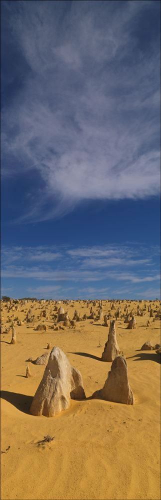 The Pinnacles - WA (PBH3 00 2566)