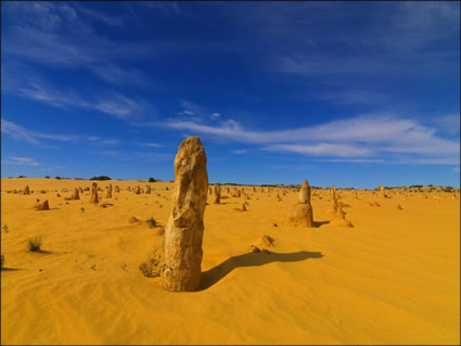 The Pinnacles - WA (PBH3 00 2579)