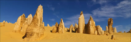 The Pinnacles - WA (PBH3 00 2583)