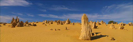 The Pinnacles - WA (PBH3 00 2586)