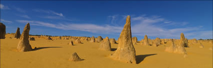 The Pinnacles - WA (PBH3 00 2591)