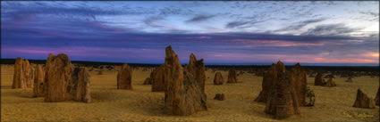 The Pinnacles - WA (PBH3 00 7365)