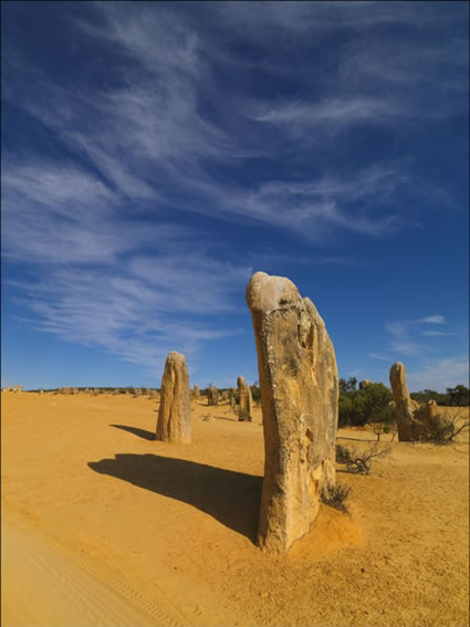 The Pinnacles - WA SQ (PBH3 00 2592)