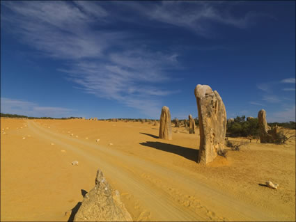 The Pinnacles - WA SQ (PBH3 00 2593)