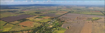 Tomingley - NSW (PBH3 00 16136)