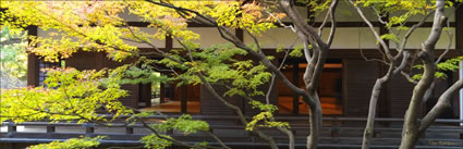 Tree House - Japan H (PBH3 00 0042)