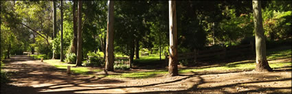 Trees - Nannup - WA (PBH3 00 4571)