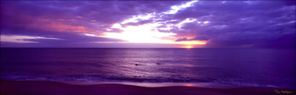 Trinity Beach Sunrise - QLD (PB00 5952)