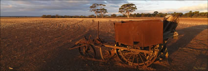 Twilight Plough - WA (PBH3 00 2683)