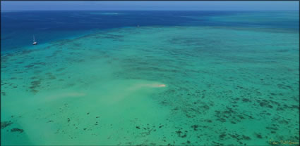 Upollo Cay - Cairns - QLD T (PBH3 00 13573)