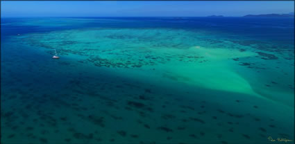 Upollo Reef - Cairns - QLD (PBH3 00 13577)