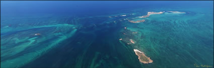 Varanus Islands - WA (PBH3 00 9591)