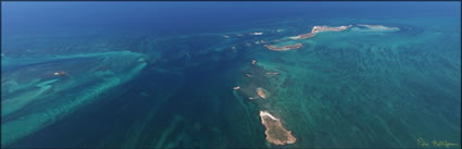 Varanus Islands - WA (PBH3 00 9592)