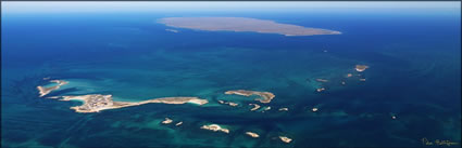 Varanus and Barrow Islands - WA (PBH3 00 9525)