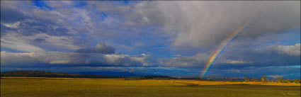 View to Ben Lomond - TAS H (PBH3 00 1132)