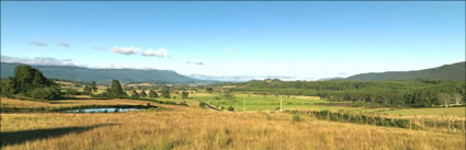 View to Chudleigh -TAS (PBH3 00 0524)