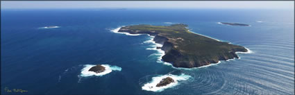 Wedge Island - SA (PBH3 00 30658)