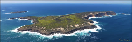 Wedge Island - SA (PBH3 00 30660)