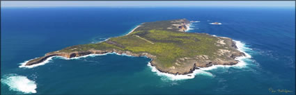 Wedge Island - SA (PBH3 00 30664)