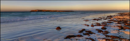 Wedge Island - WA H (PBH3 00 7308)