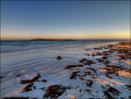 Wedge Island - WA SQ (PBH3 00 7308)