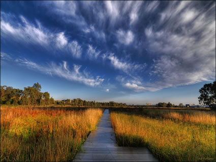 Wetlands - Junee - NSW SQ (PBH3 00 17230)