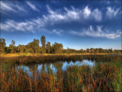 Wetlands - Junee - NSW SQ (PBH3 00 17233)