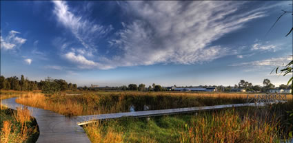 Wetlands - Junee - NSW T (PBH3 00 17236)