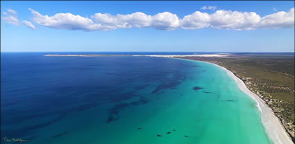 Whales - Fowlers Bay - SA T (PBH3 00 28811)